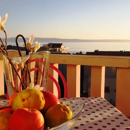 Dany ماكارسكا